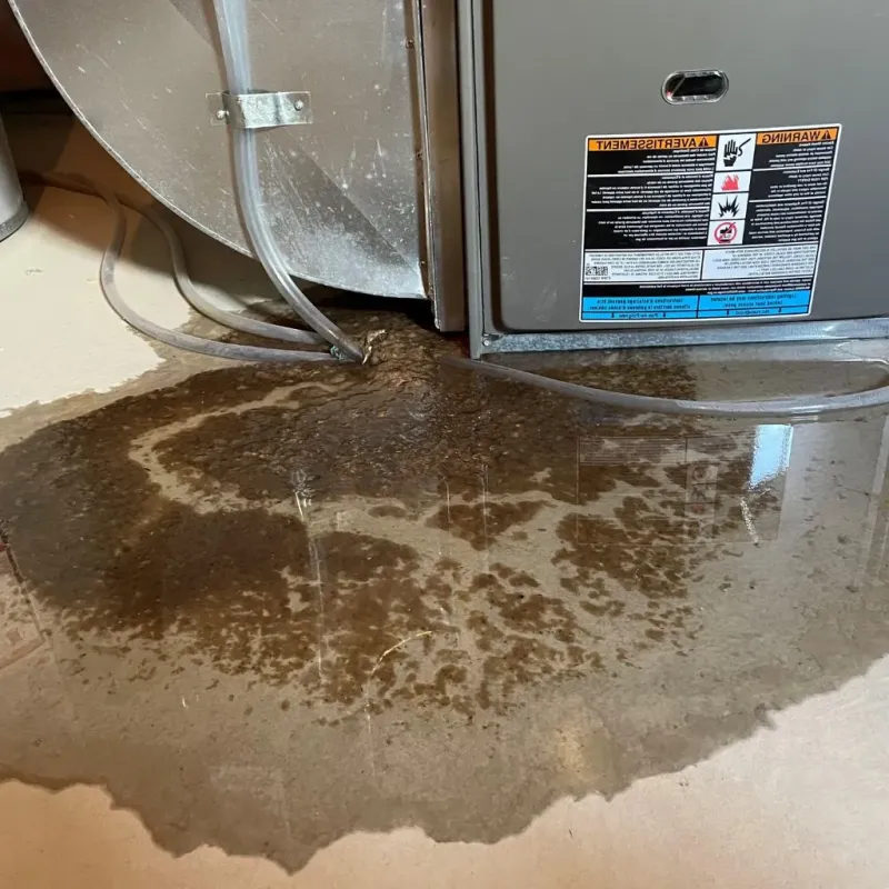 Pipe Burst and Leak Restoration in North Bethesda, MD